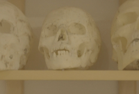 Szwecja: Rekonstrukcja twarzy kobiety sprzed 7 tysiÄcy lat - kim byÅa i jak wyglÄdaÅa?