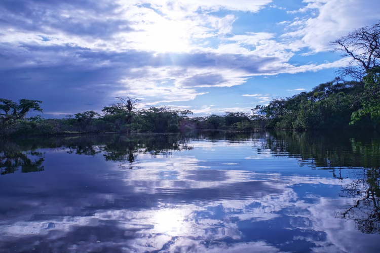Glauco i Gleison Ferreira zagubieni w Amazonii
