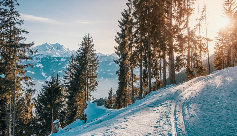 Szwajcaria zagnięcie narciarzy