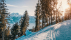 Szwajcaria: Odnaleziono ciała pięciu zaginionych narciarzy