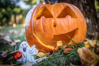 Paris Hilton wyjaśniła wybór kostiumu córki na Halloween